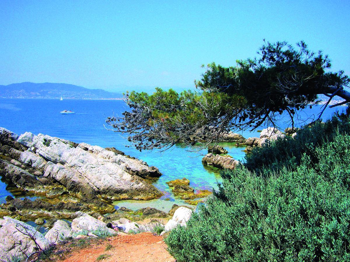 Les Rivages - Appartement Vue Mer Imprenable-Piscine Six-Fours-les-Plages Bagian luar foto
